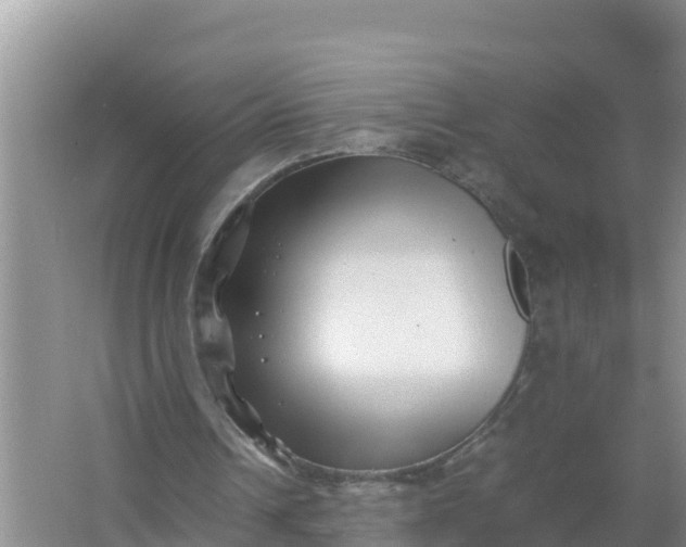 X0000066960242200604072011