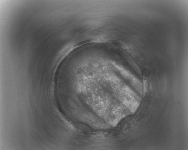 X0000066960243200604072012