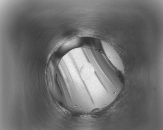 X0000066960244200604072012