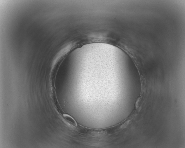 X0000066960245200604072012