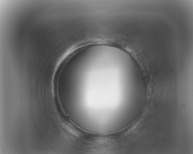 X0000066960246200604072012