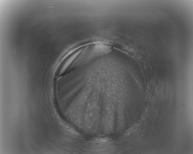 X0000066960247200604072012