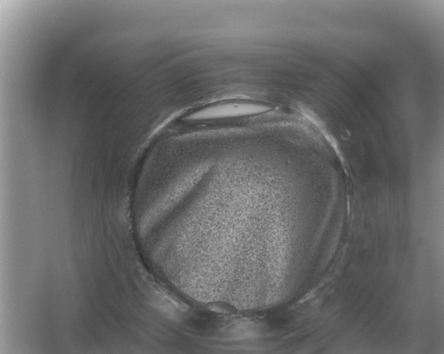 X0000066960249200604072012