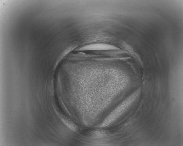 X0000066960250200604072012