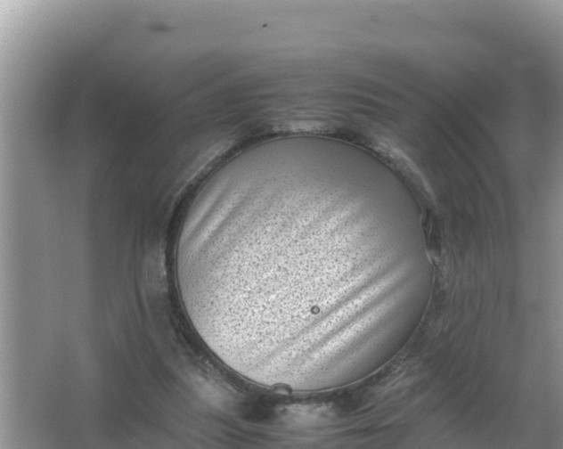 X0000066960251200604072012