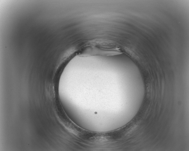 X0000066960254200604072012