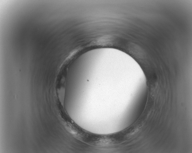 X0000066960256200604072012