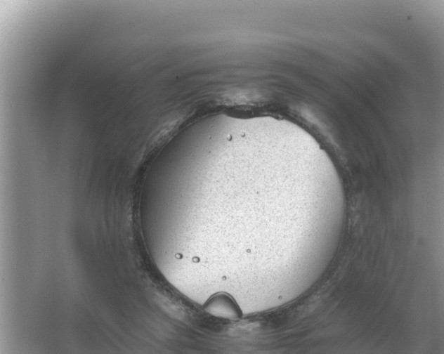 X0000066960257200604072012