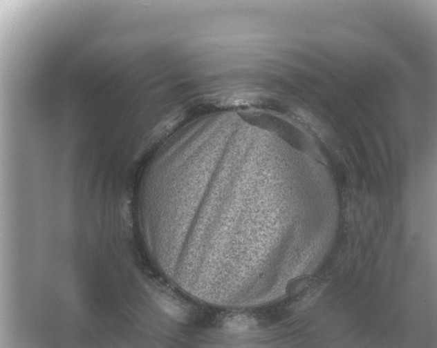 X0000066960258200604072012