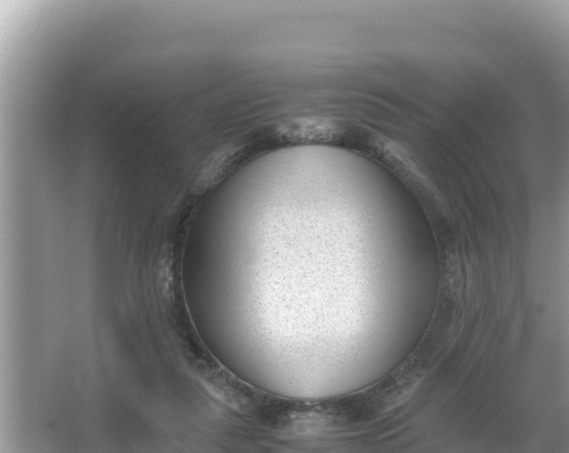 X0000066960259200604072012