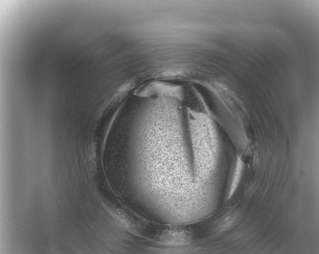 X0000066960260200604072012