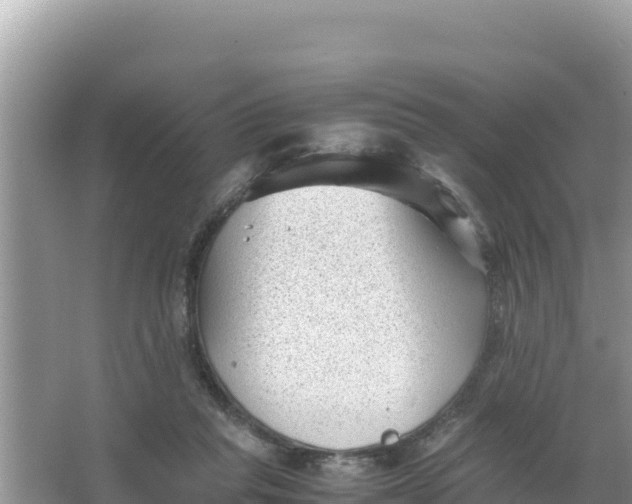 X0000066960261200604072012