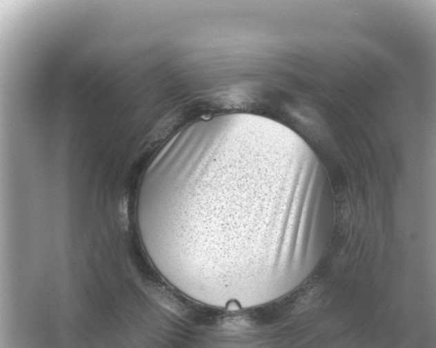 X0000066960262200604072012