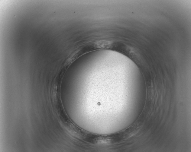 X0000066960263200604072012