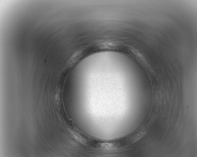 X0000066960265200604072012