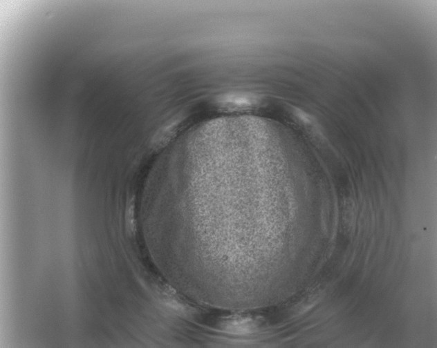 X0000066960267200604072012