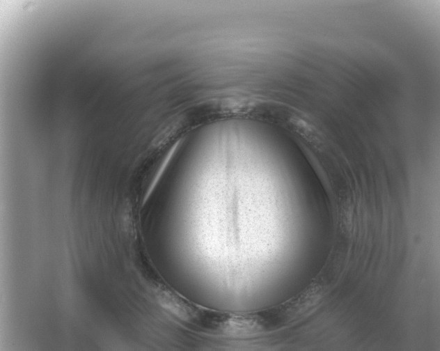 X0000066960270200604072012