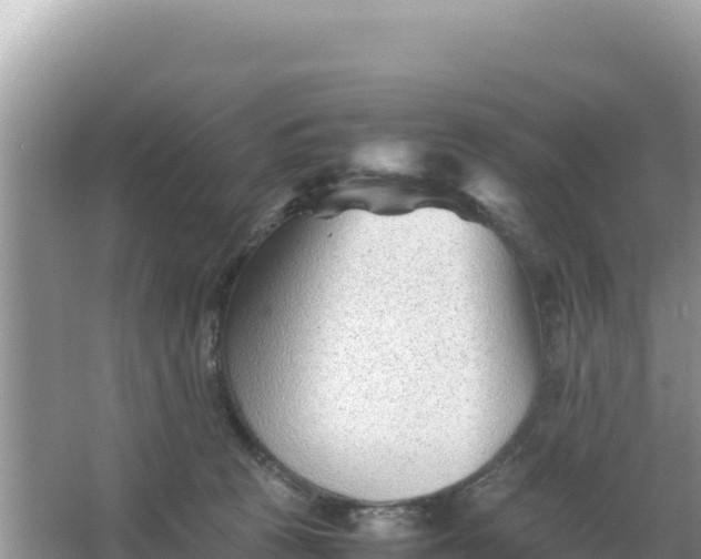 X0000066960273200604072012