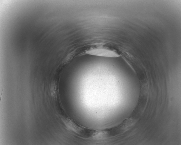 X0000066960274200604072012