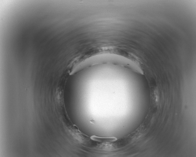 X0000066960276200604072012