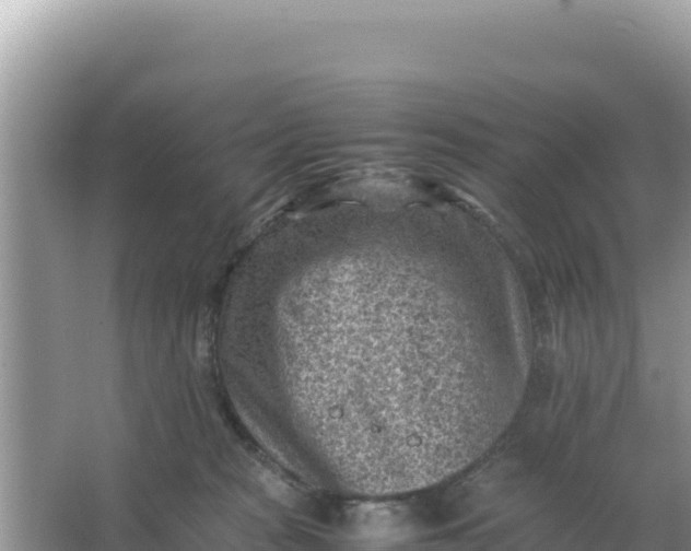 X0000066960277200604072012