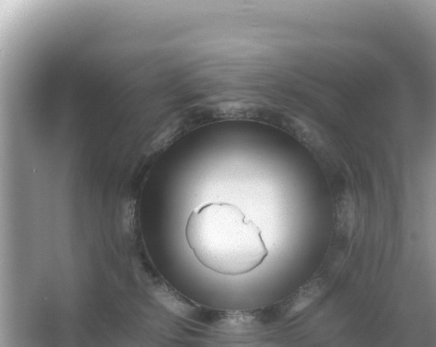 X0000066960278200604072012