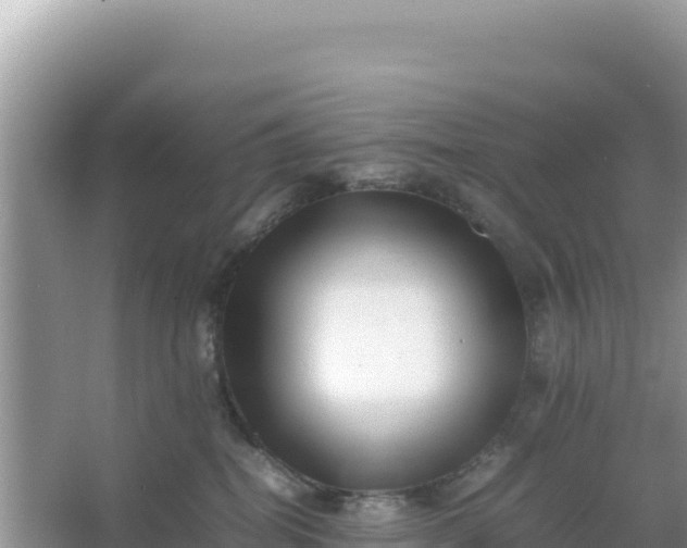 X0000066960282200604072012