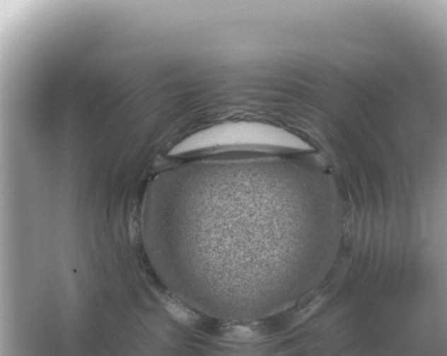 X0000066960285200604072012