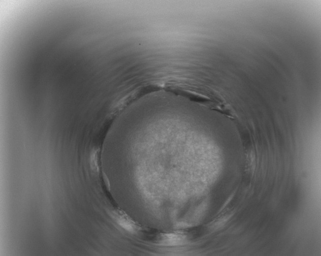 X0000066960286200604072012