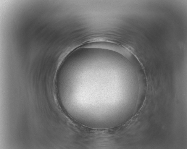 X0000066960289200604072011