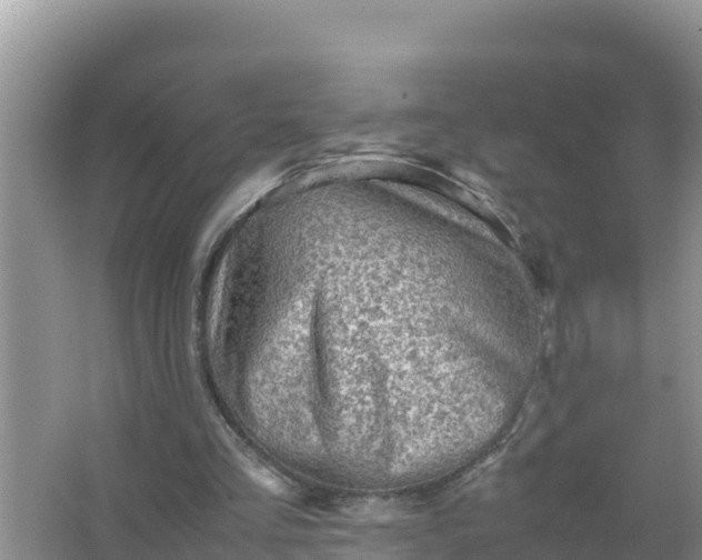 X0000066960293200604072011