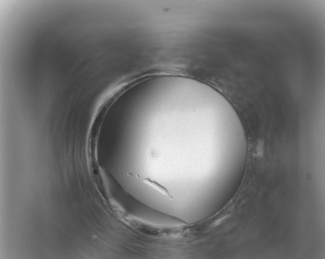 X0000066960294200604072011