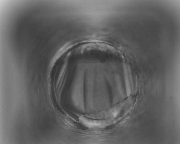 X0000066960295200604072011