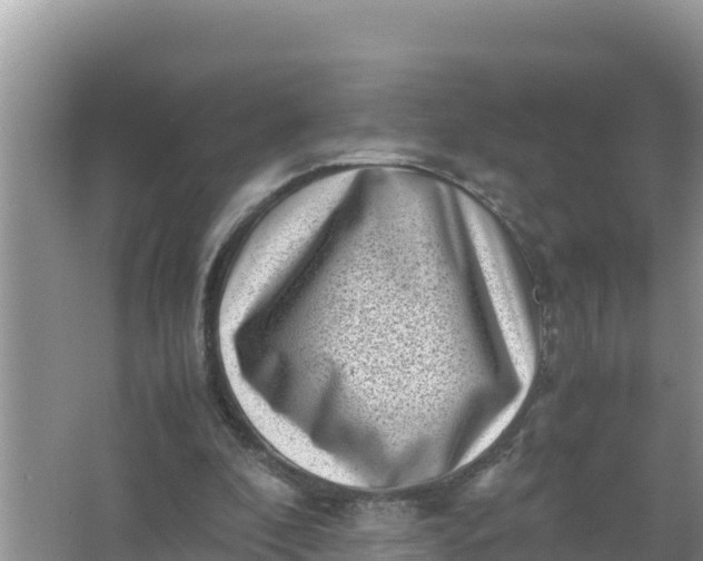 X0000066960296200604072011