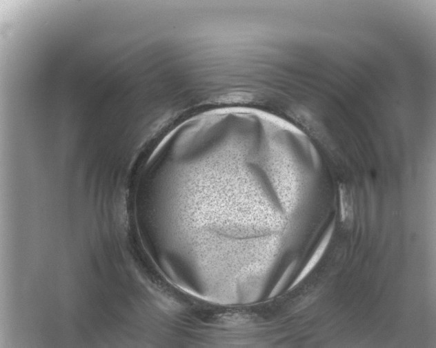 X0000066960300200604072011