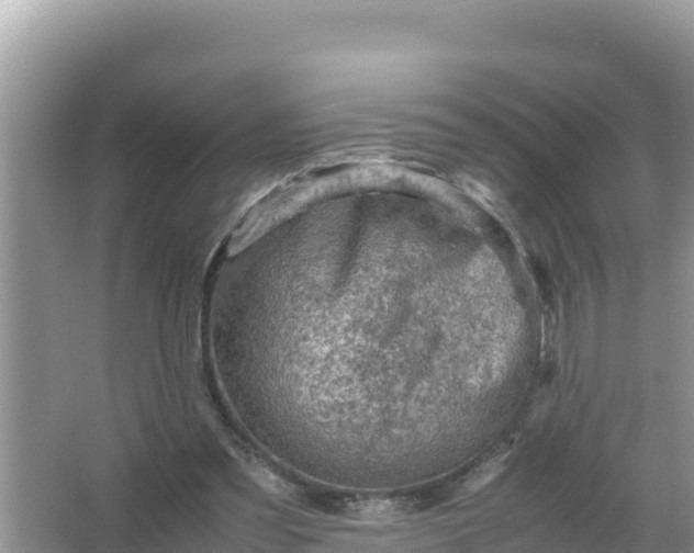 X0000066960301200604072011