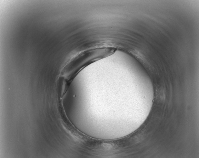 X0000066960302200604072011