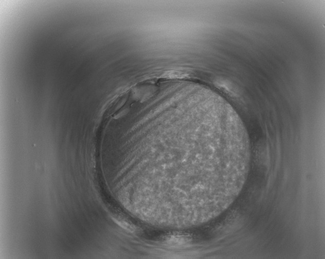 X0000066960303200604072011