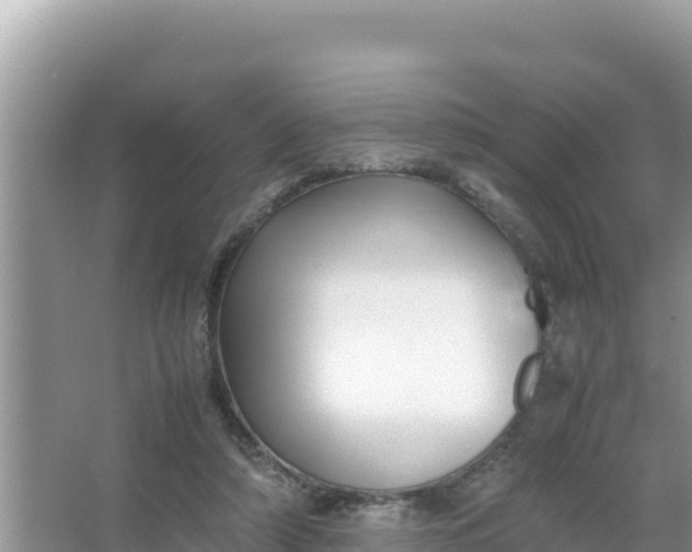 X0000066960306200604072011