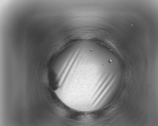 X0000066960307200604072011