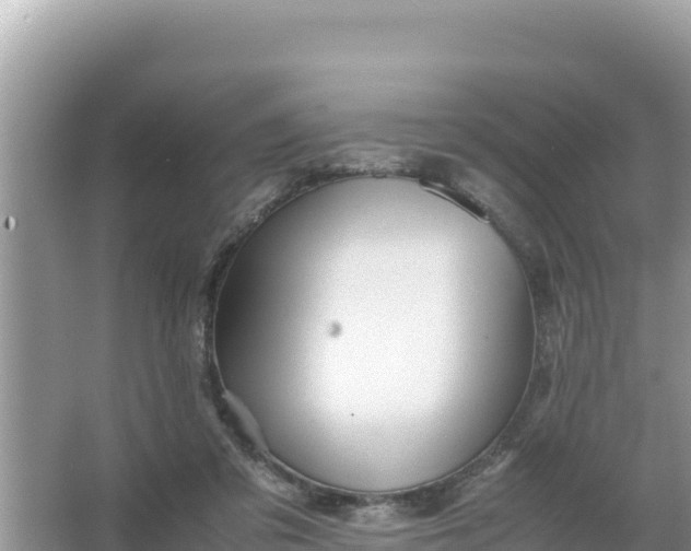 X0000066960309200604072011