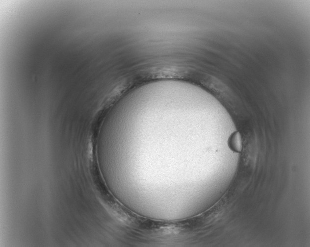 X0000066960310200604072011