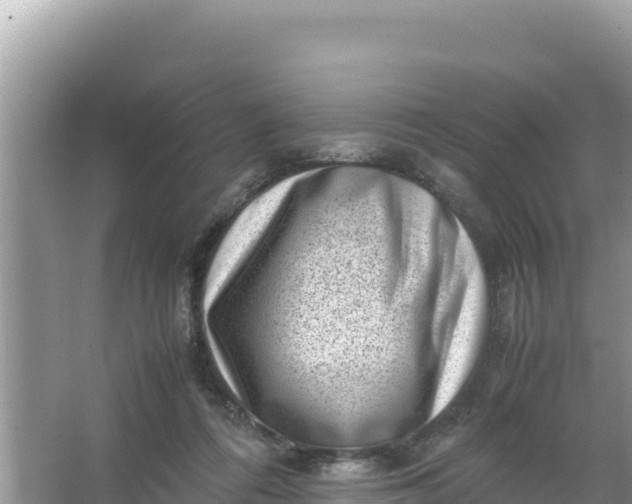 X0000066960312200604072011