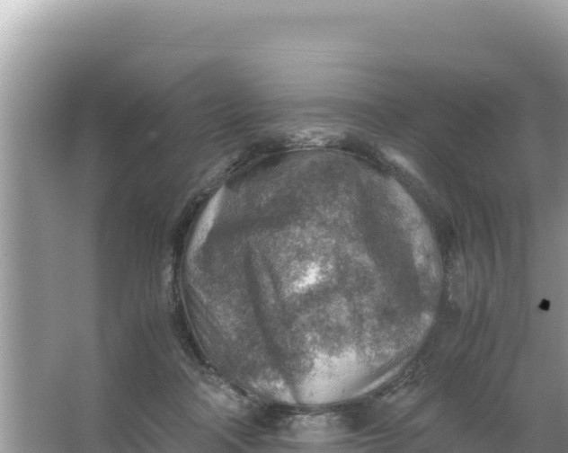 X0000066960314200604072011