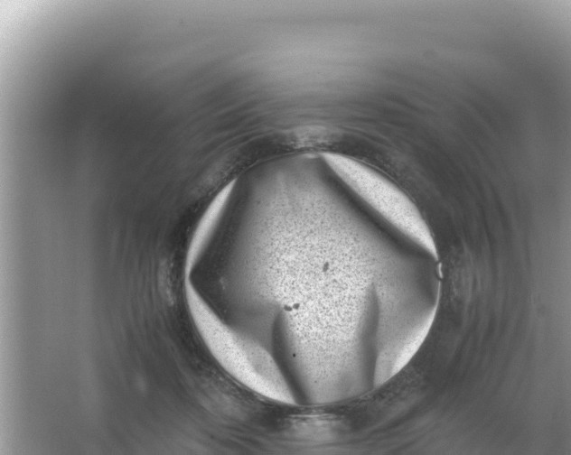 X0000066960316200604072011