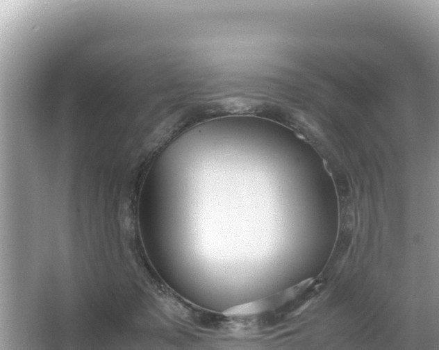 X0000066960317200604072011