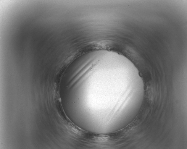 X0000066960318200604072011