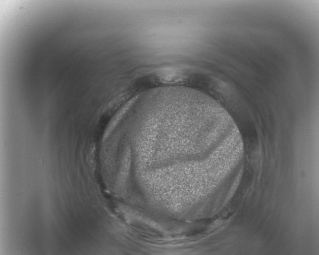 X0000066960319200604072011