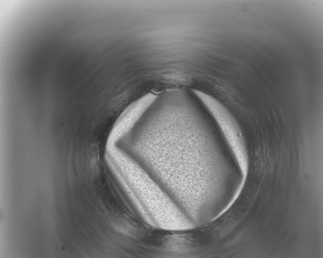 X0000066960320200604072011