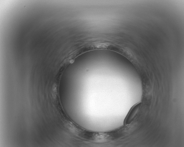 X0000066960321200604072011